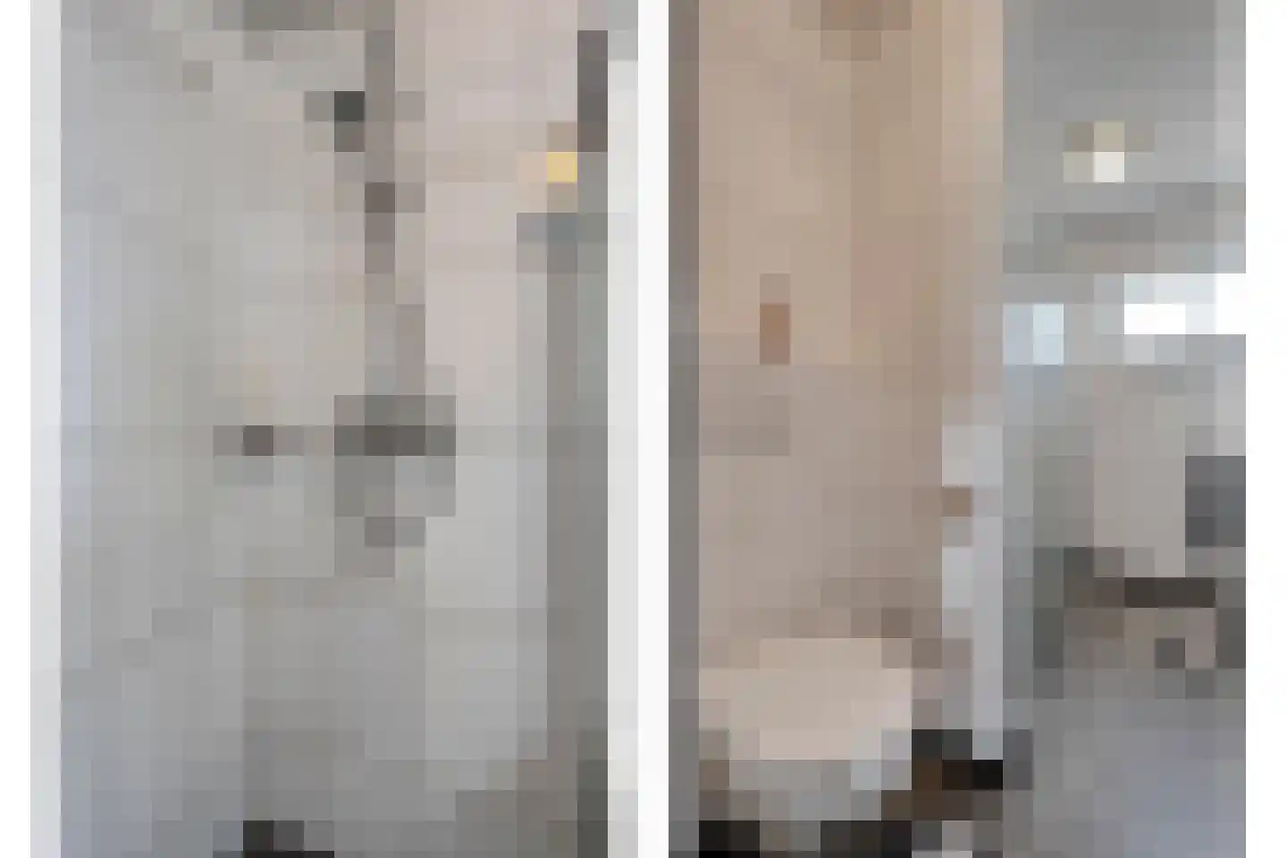 W Jaasmasingel 23 Dwingeloo thumbnail 29