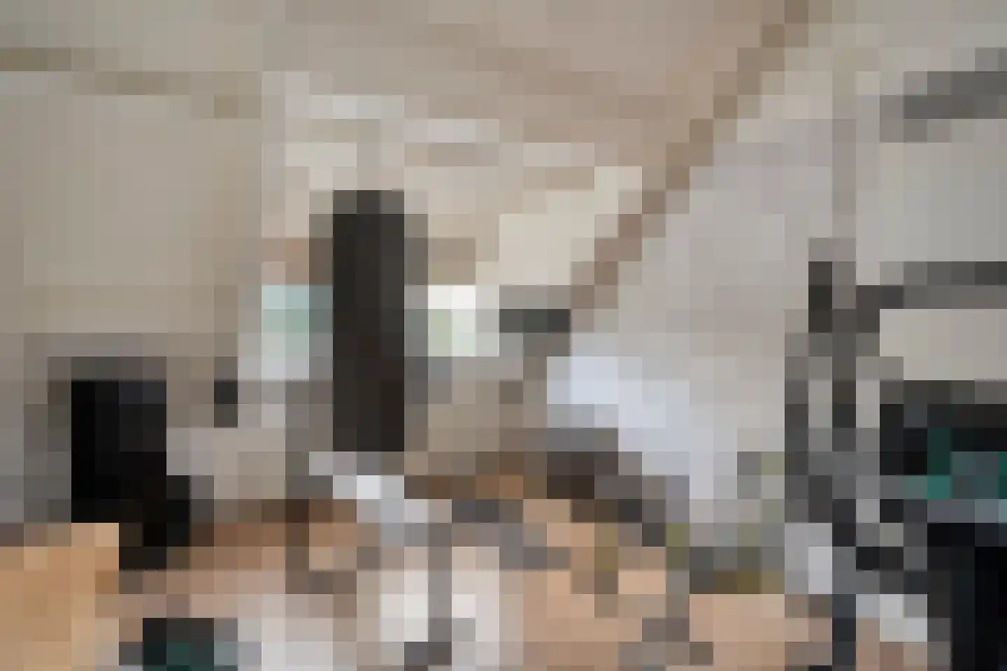 W Jaasmasingel 23 Dwingeloo thumbnail 32