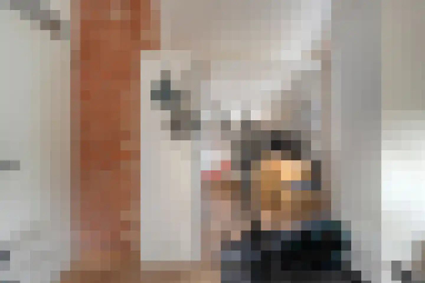 W Jaasmasingel 23 Dwingeloo thumbnail 33