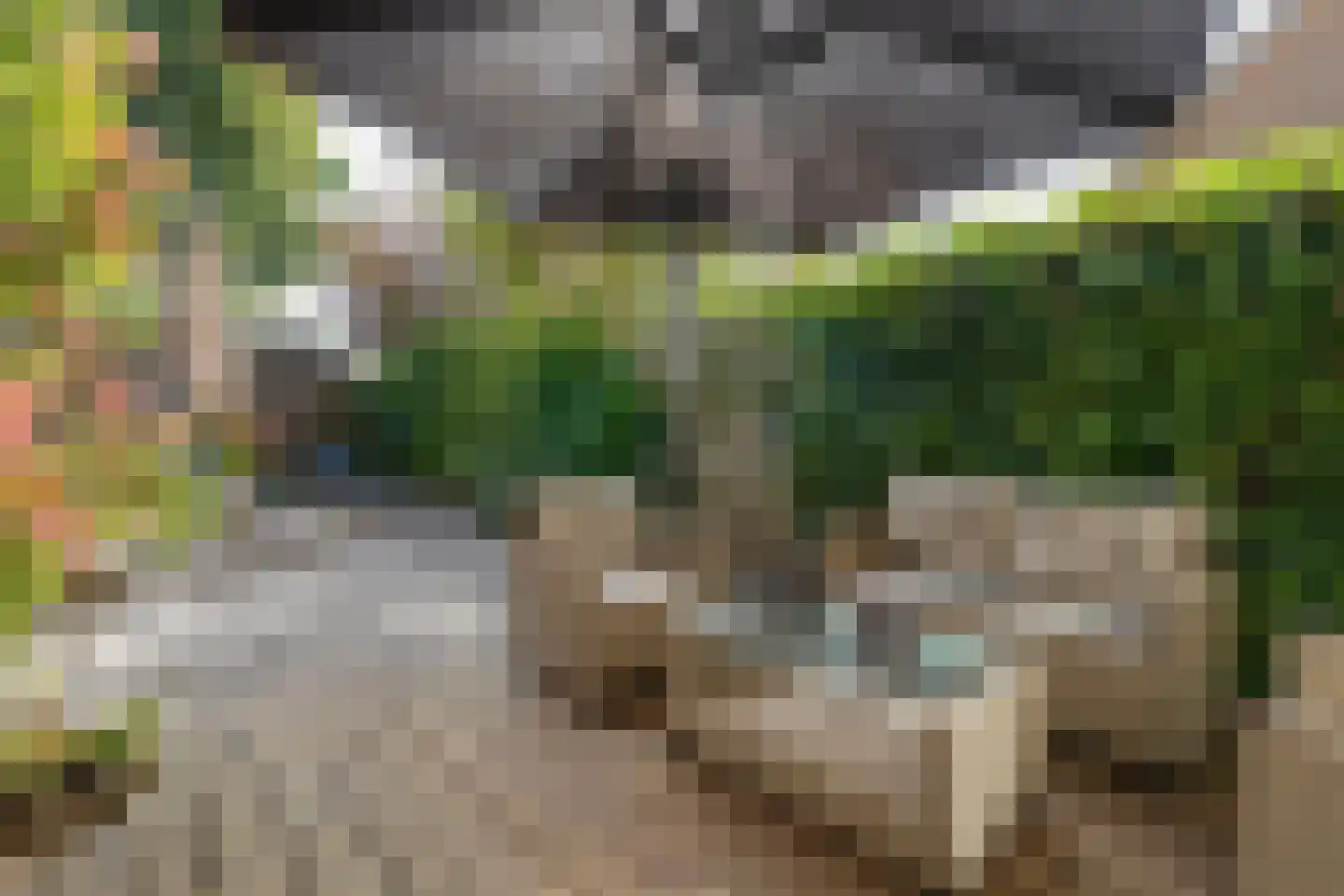 W Jaasmasingel 23 Dwingeloo thumbnail 36