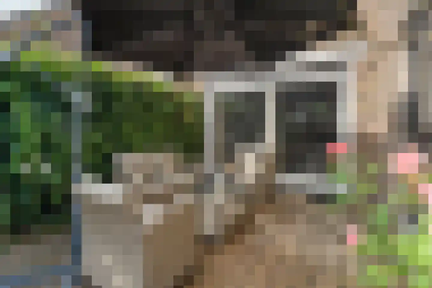 W Jaasmasingel 23 Dwingeloo thumbnail 37