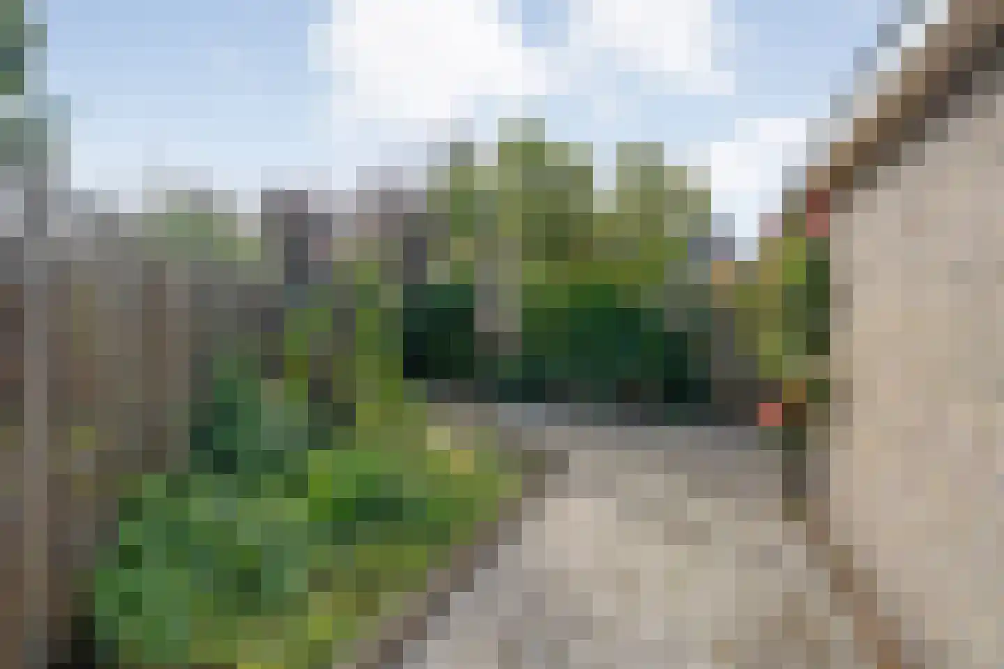 W Jaasmasingel 23 Dwingeloo thumbnail 39