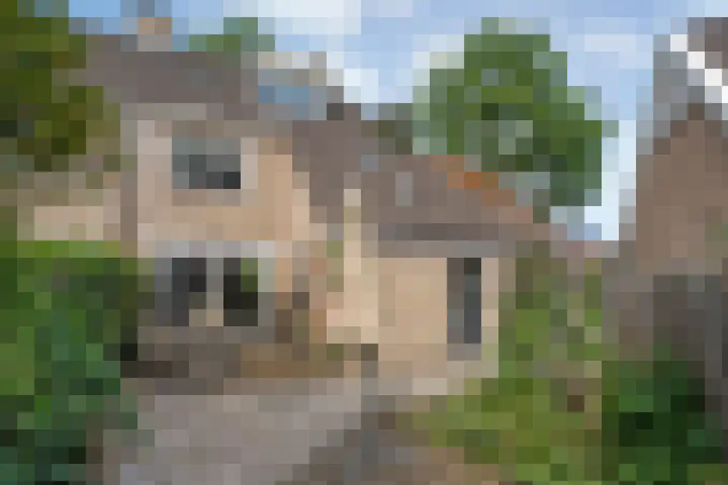 W Jaasmasingel 23 Dwingeloo thumbnail 40