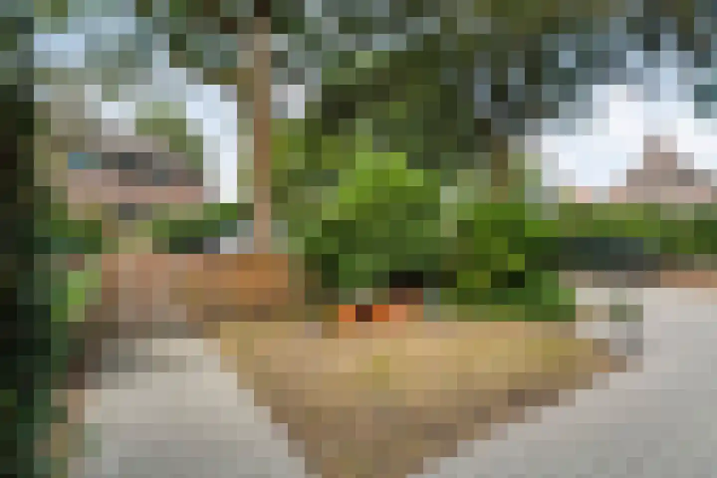 W Jaasmasingel 23 Dwingeloo thumbnail 41