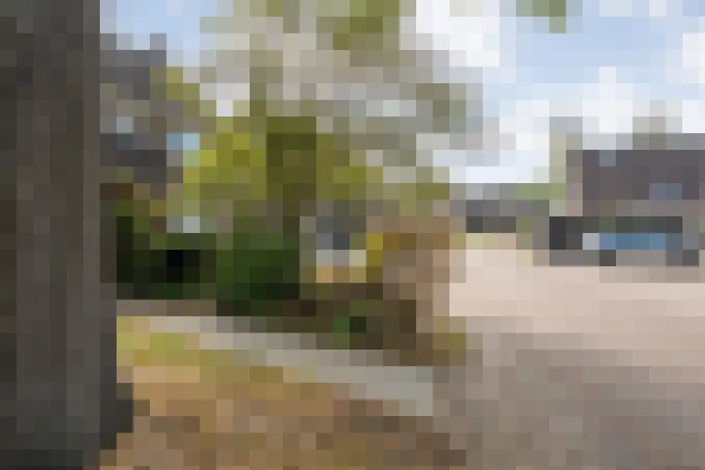 W Jaasmasingel 23 Dwingeloo thumbnail 47