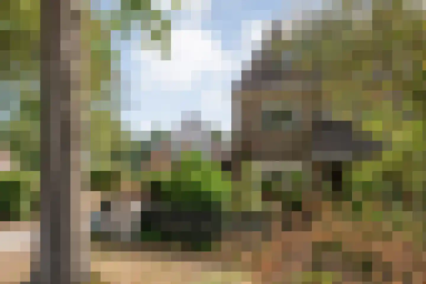 W Jaasmasingel 23 Dwingeloo thumbnail 48