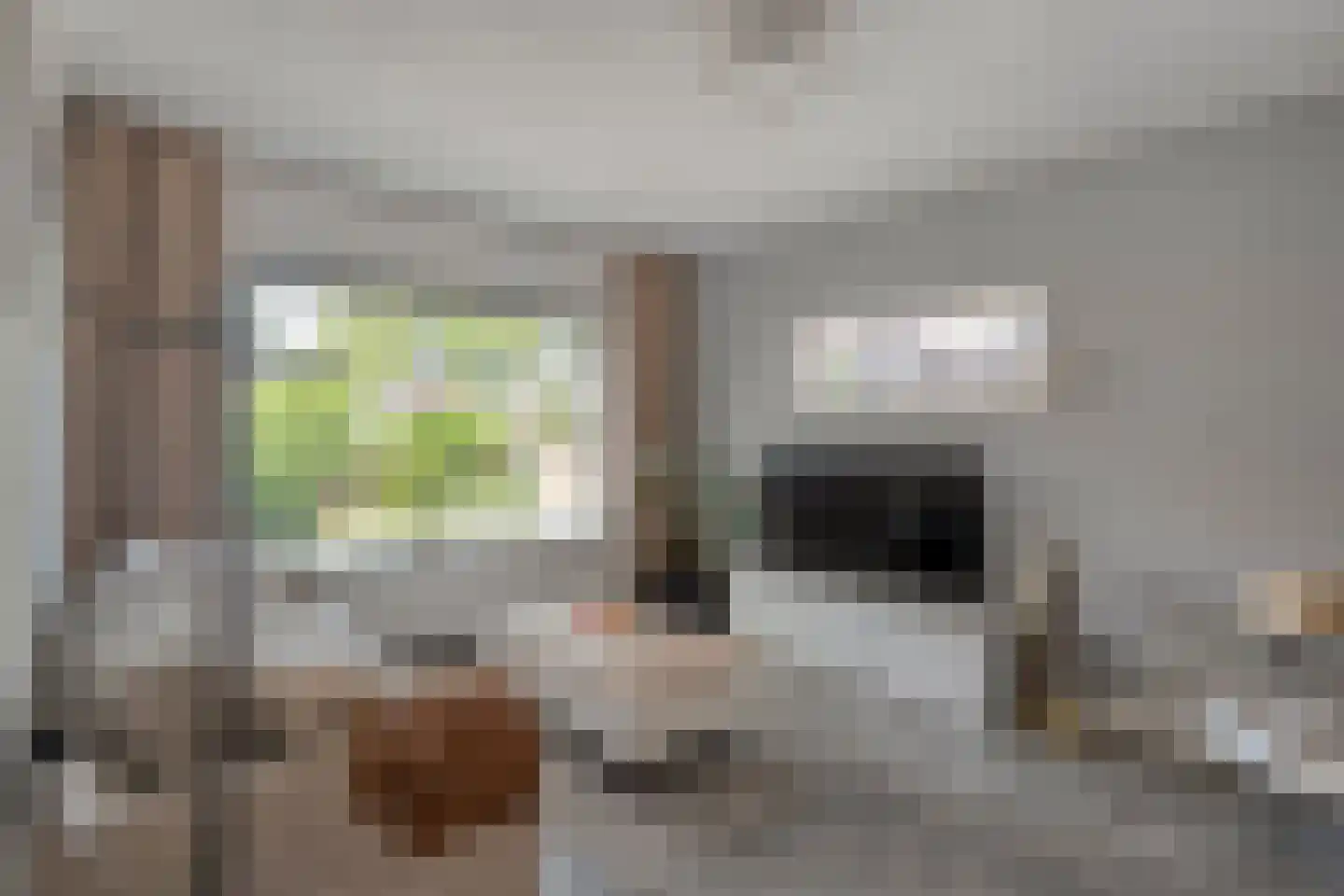 W Jaasmasingel 23 Dwingeloo thumbnail 8