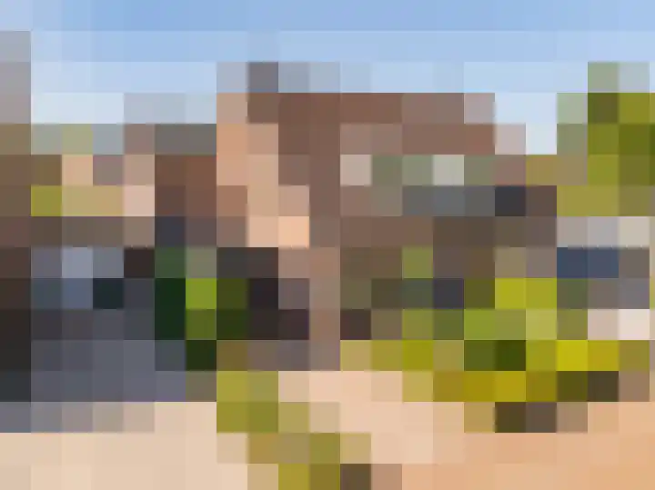 W Jaasmasingel 48 in Dwingeloo