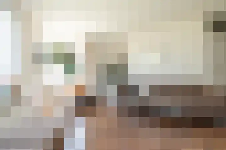 W Jaasmasingel 48 Dwingeloo thumbnail 10