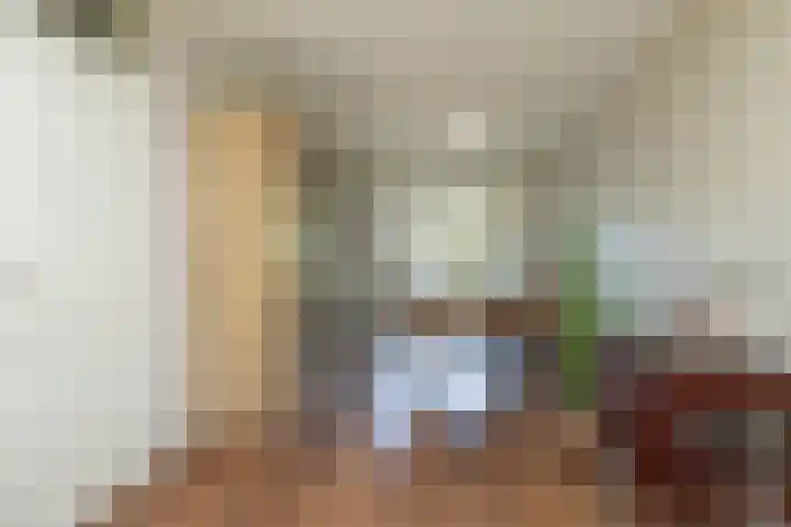 W Jaasmasingel 48 Dwingeloo thumbnail 13