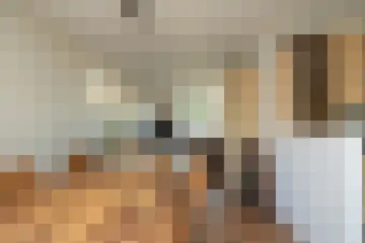 W Jaasmasingel 48 Dwingeloo thumbnail 16