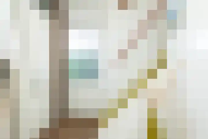 W Jaasmasingel 48 Dwingeloo thumbnail 24
