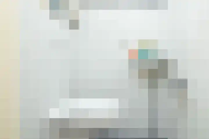 W Jaasmasingel 48 Dwingeloo thumbnail 25