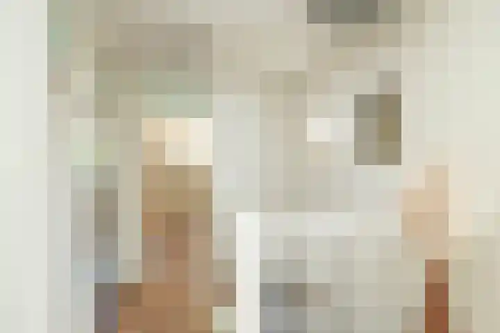 W Jaasmasingel 48 Dwingeloo thumbnail 26