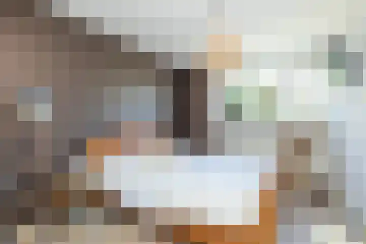W Jaasmasingel 48 Dwingeloo thumbnail 27