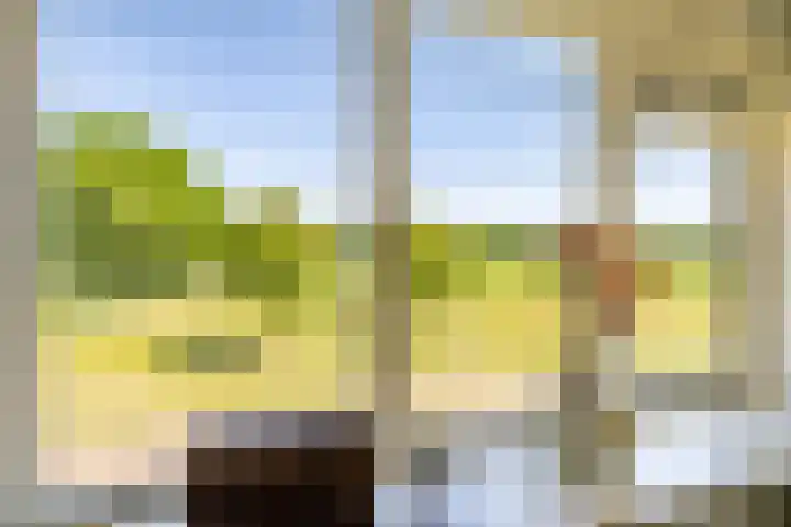 W Jaasmasingel 48 Dwingeloo thumbnail 29