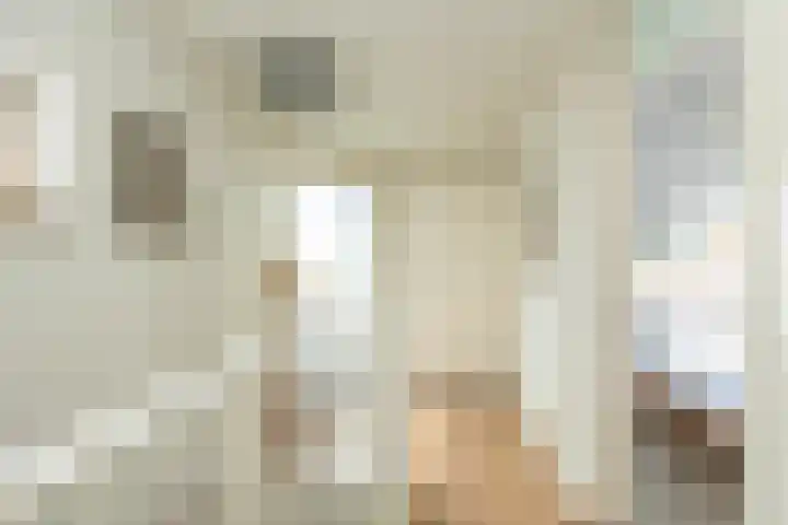 W Jaasmasingel 48 Dwingeloo thumbnail 30