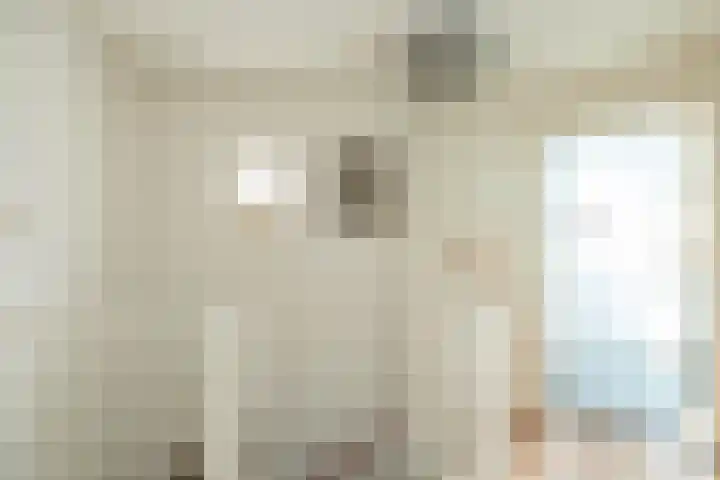 W Jaasmasingel 48 Dwingeloo thumbnail 35