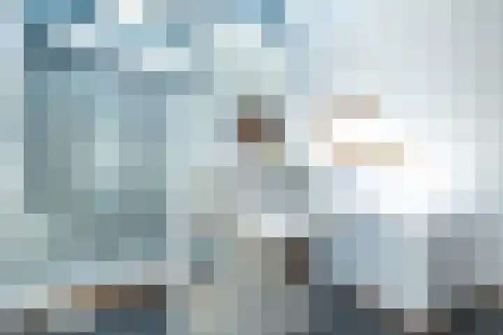 W Jaasmasingel 48 Dwingeloo thumbnail 36