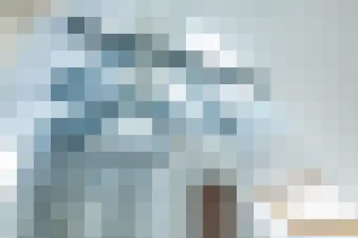 W Jaasmasingel 48 Dwingeloo thumbnail 38