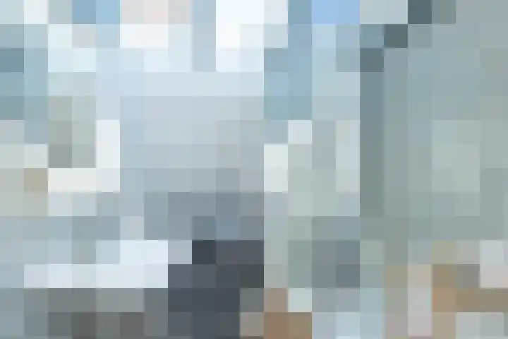 W Jaasmasingel 48 Dwingeloo thumbnail 39