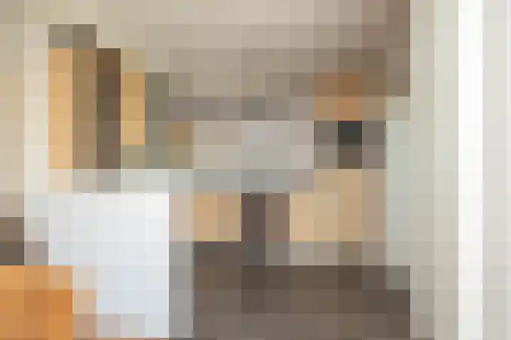 W Jaasmasingel 48 Dwingeloo thumbnail 4