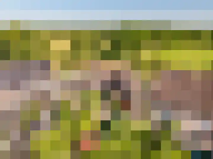 W Jaasmasingel 48 Dwingeloo thumbnail 43