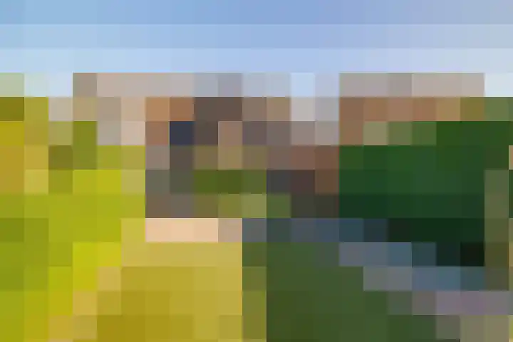 W Jaasmasingel 48 Dwingeloo thumbnail 44