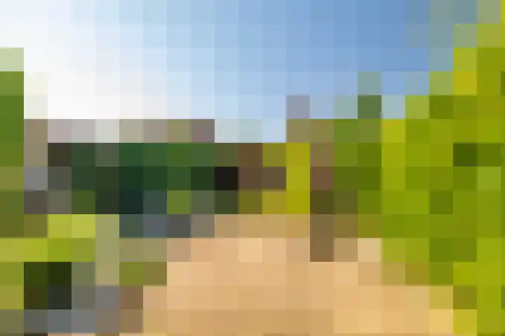 W Jaasmasingel 48 Dwingeloo thumbnail 45