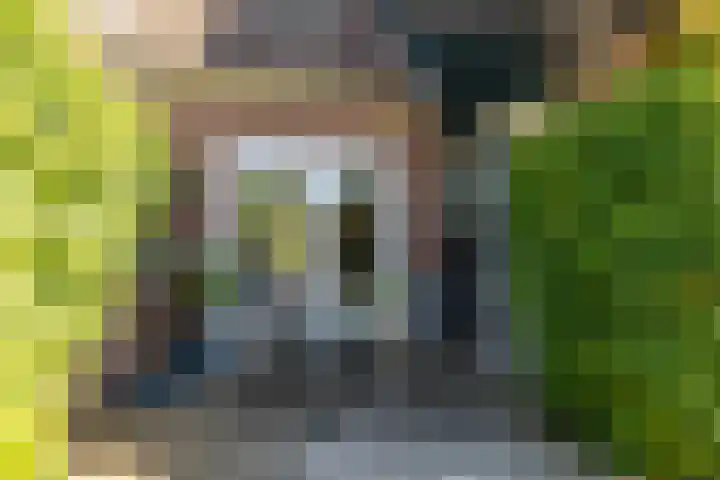 W Jaasmasingel 48 Dwingeloo thumbnail 46