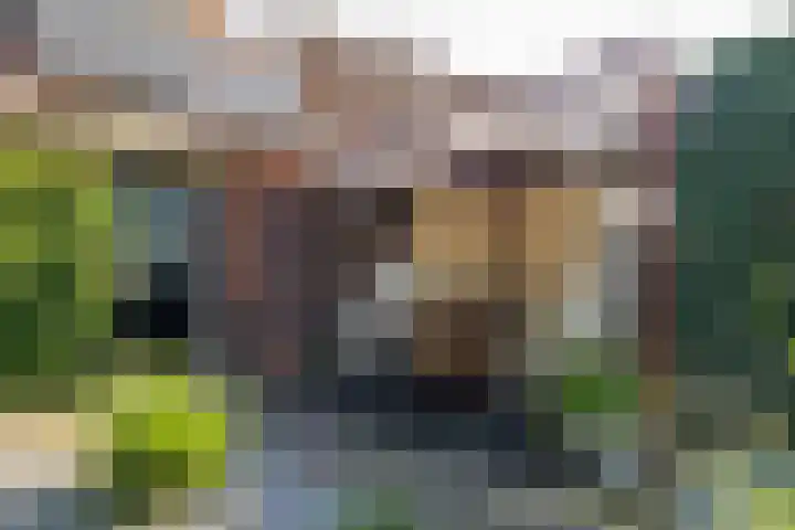 W Jaasmasingel 48 Dwingeloo thumbnail 47