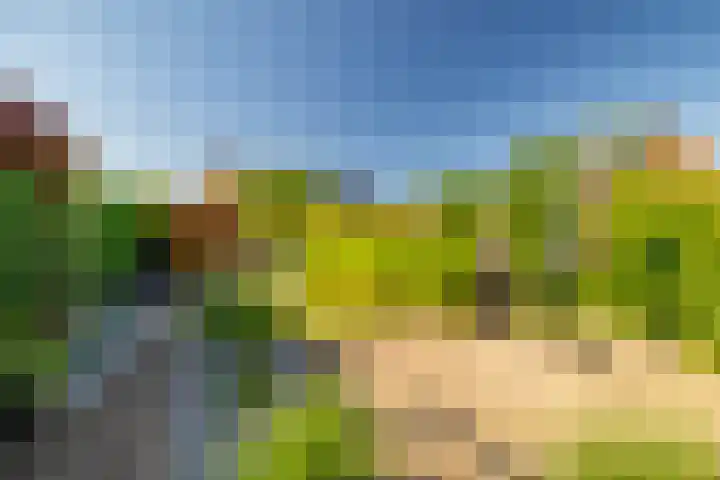 W Jaasmasingel 48 Dwingeloo thumbnail 48