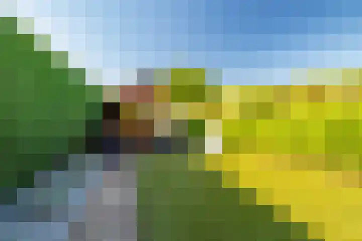 W Jaasmasingel 48 Dwingeloo thumbnail 49