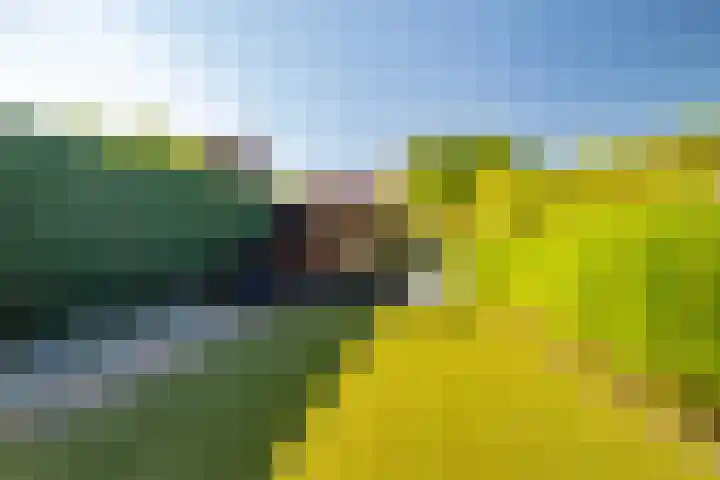 W Jaasmasingel 48 Dwingeloo thumbnail 50