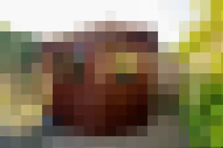 W Jaasmasingel 48 Dwingeloo thumbnail 51