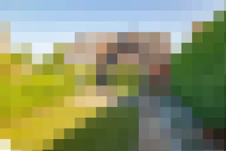 W Jaasmasingel 48 Dwingeloo thumbnail 52