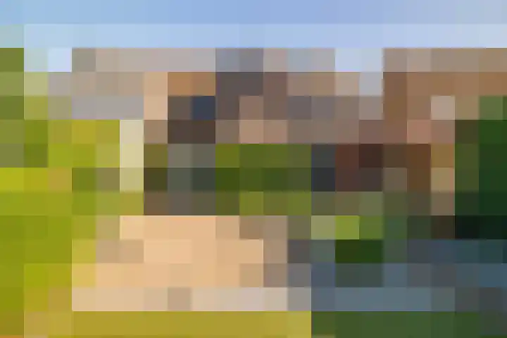 W Jaasmasingel 48 Dwingeloo thumbnail 53