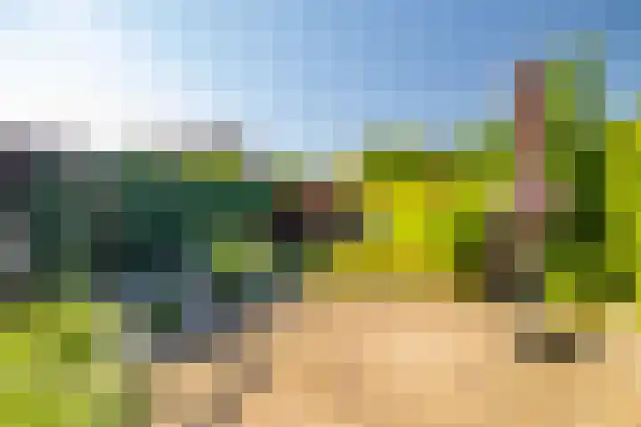 W Jaasmasingel 48 Dwingeloo thumbnail 54