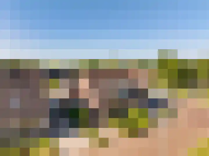 W Jaasmasingel 48 Dwingeloo thumbnail 55