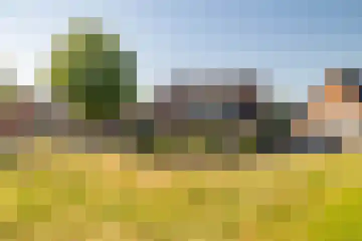 W Jaasmasingel 48 Dwingeloo thumbnail 56