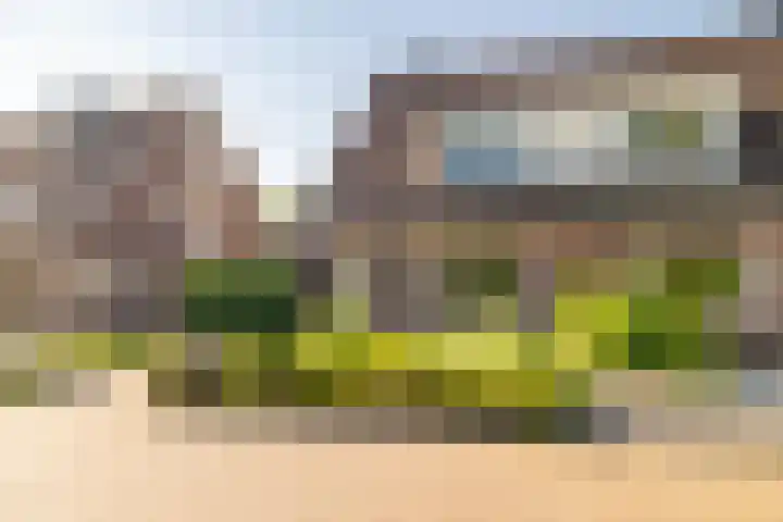 W Jaasmasingel 48 Dwingeloo thumbnail 59