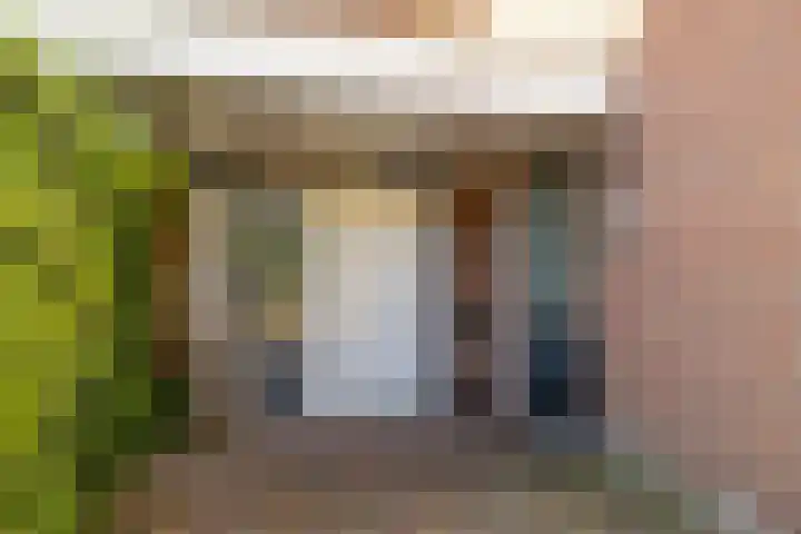 W Jaasmasingel 48 Dwingeloo thumbnail 6