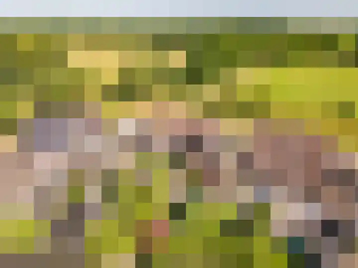 W Jaasmasingel 48 Dwingeloo thumbnail 61