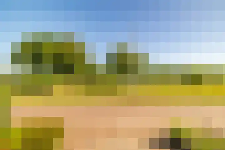 W Jaasmasingel 48 Dwingeloo thumbnail 62