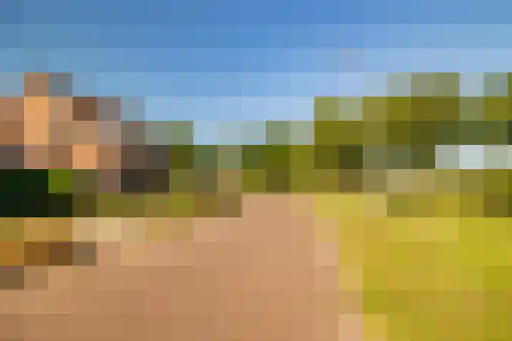 W Jaasmasingel 48 Dwingeloo thumbnail 63