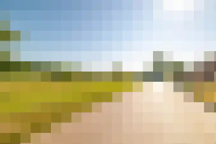 W Jaasmasingel 48 Dwingeloo thumbnail 66