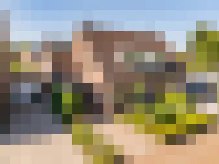W Jaasmasingel 48 Dwingeloo thumbnail 67