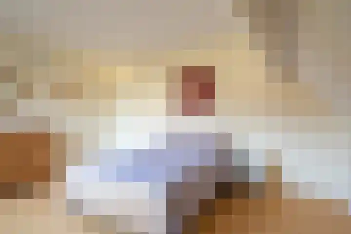 W Jaasmasingel 56 Dwingeloo thumbnail 13