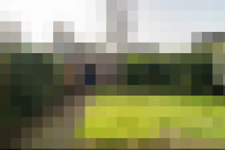 W Jaasmasingel 56 Dwingeloo thumbnail 23