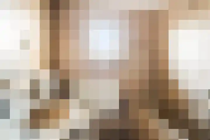 W Jaasmasingel 56 Dwingeloo thumbnail 28